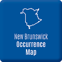 1-New Brunswick occurrence map-200x200-EN
