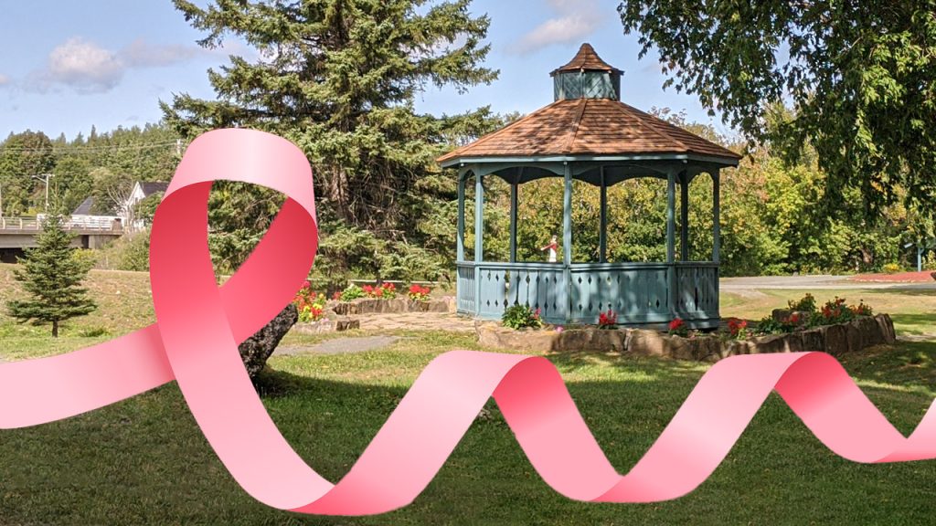 Breast Cancer Awareness Walk Set for October 16 at Blackville Park